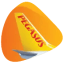 Логотип Pegasus Airlines